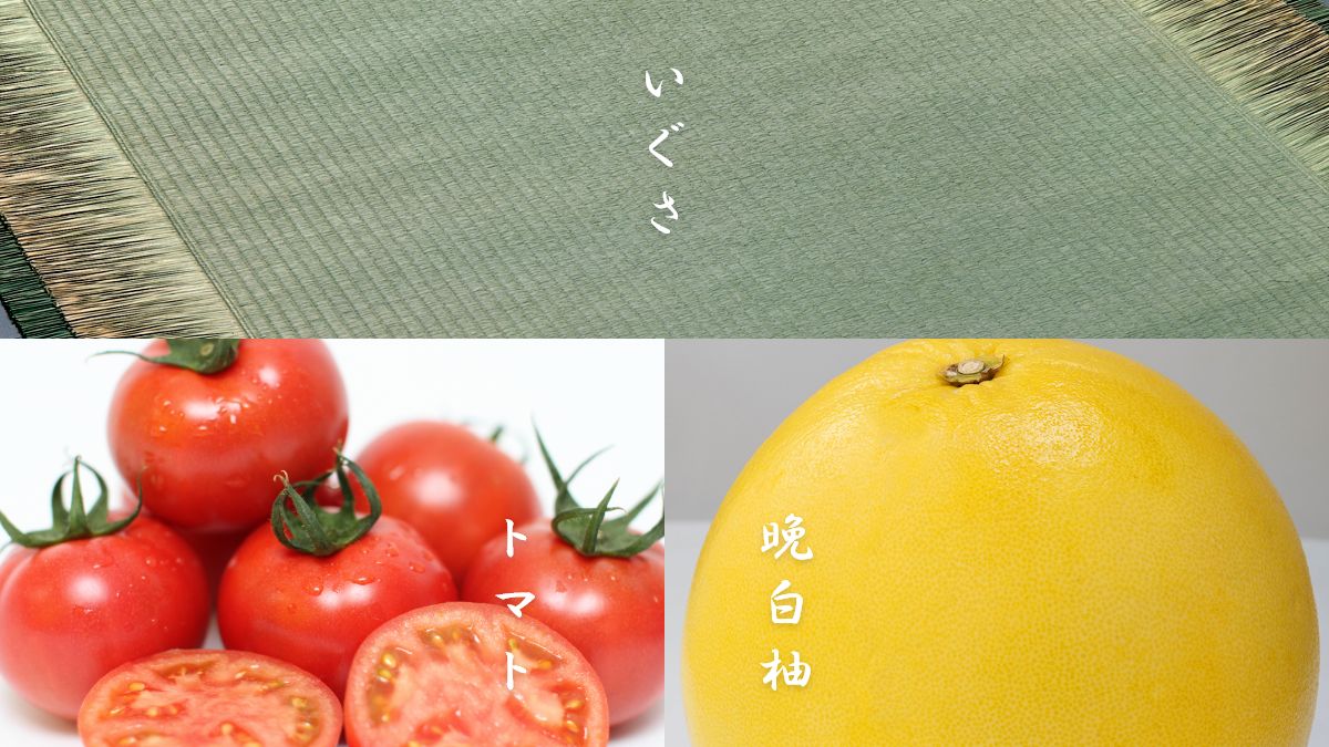 写真：晩白柚・ちくわ・トマト・いぐさ