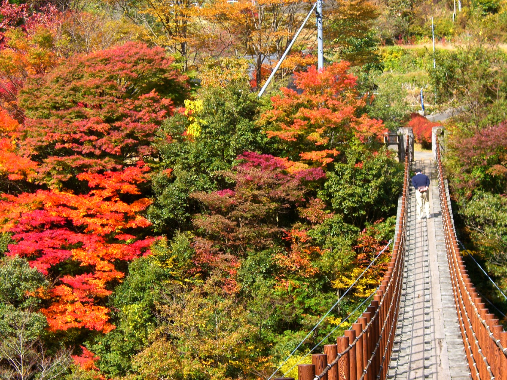 五家荘　樅木　吊橋