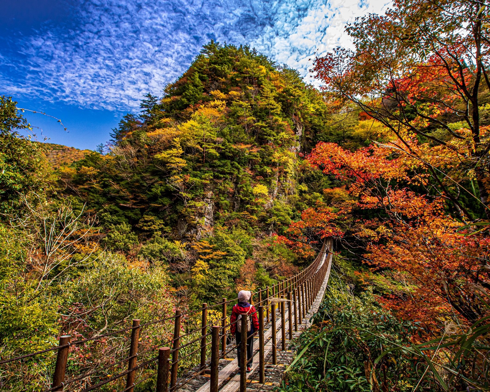 五家荘　樅木　吊橋